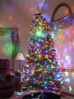 LED Christmas Tree, 2009